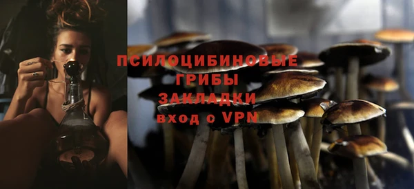 каннабис Богородицк
