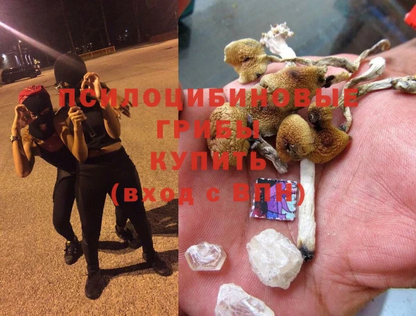 каннабис Богородицк
