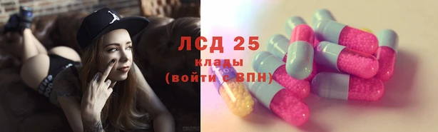 мяу мяу мука Богданович