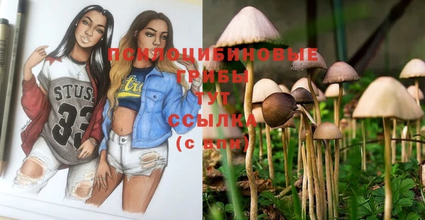 мяу мяу мука Богданович