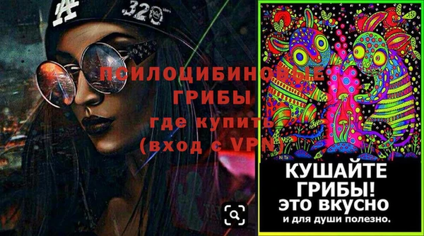 спиды Богородск