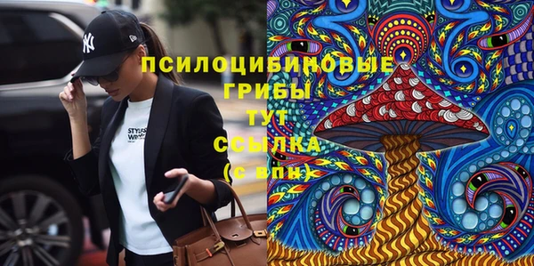 спиды Богородск