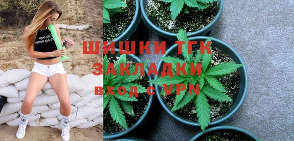 спиды Богородск