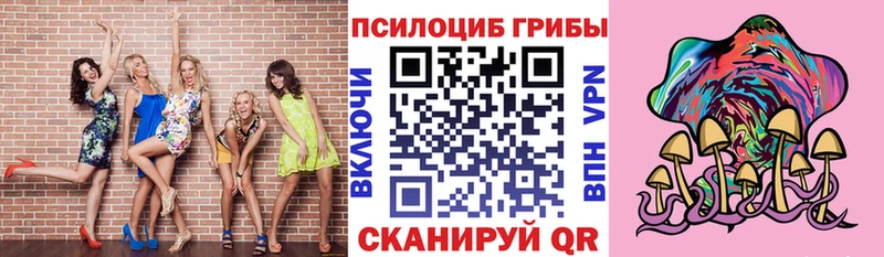 Купить где  Шахунья  Псилоцибиновые грибы прущие грибы 